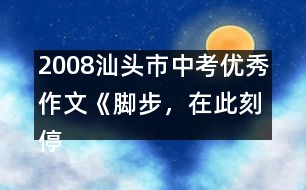 2008汕頭市中考優(yōu)秀作文《腳步，在此刻停住》