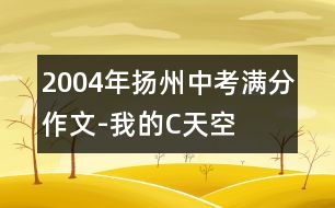 2004年揚(yáng)州中考滿分作文-我的“C”天空