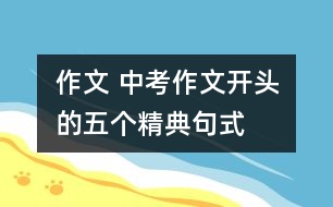 作文 中考作文開頭的五個精典句式