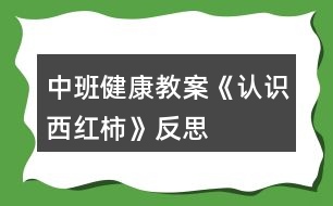 中班健康教案《認(rèn)識西紅柿》反思