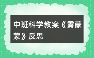 中班科學(xué)教案《霧蒙蒙》反思