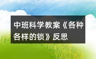 中班科學教案《各種各樣的鎖》反思