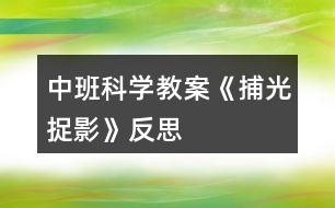 中班科學教案《捕光捉影》反思