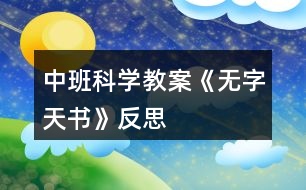 中班科學(xué)教案《無字天書》反思