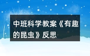 中班科學教案《有趣的昆蟲》反思