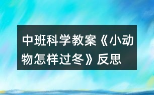 中班科學(xué)教案《小動(dòng)物怎樣過(guò)冬》反思