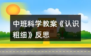 中班科學(xué)教案《認識粗細》反思