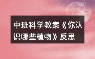 中班科學教案《你認識哪些植物》反思