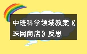 中班科學領(lǐng)域教案《蛛網(wǎng)商店》反思