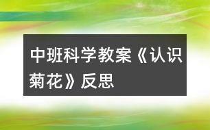 中班科學(xué)教案《認(rèn)識(shí)菊花》反思