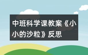 中班科學(xué)課教案《小小的沙粒》反思