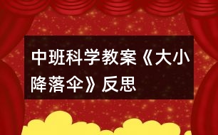 中班科學(xué)教案《大小降落傘》反思