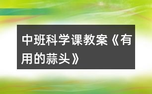 中班科學(xué)課教案《有用的蒜頭》