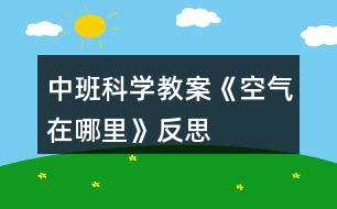 中班科學教案《空氣在哪里》反思