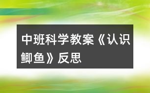 中班科學(xué)教案《認(rèn)識(shí)鯽魚》反思