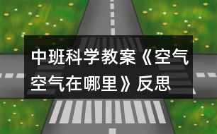 中班科學教案《空氣空氣在哪里》反思