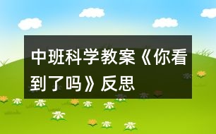 中班科學(xué)教案《你看到了嗎》反思