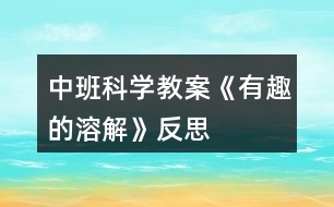 中班科學教案《有趣的溶解》反思