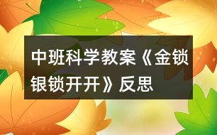 中班科學(xué)教案《金鎖、銀鎖開開》反思