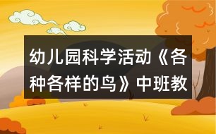 幼兒園科學(xué)活動(dòng)《各種各樣的鳥(niǎo)》中班教案反思