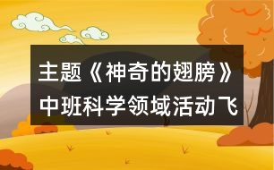 主題《神奇的翅膀》中班科學(xué)領(lǐng)域活動(dòng)飛機(jī)反思