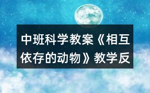 中班科學(xué)教案《相互依存的動(dòng)物》教學(xué)反思