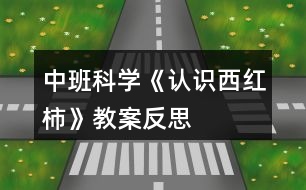 中班科學(xué)《認識西紅柿》教案反思