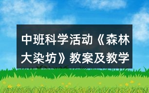 中班科學(xué)活動(dòng)《森林大染坊》教案及教學(xué)反思