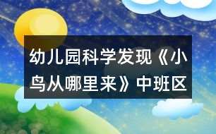 幼兒園科學(xué)發(fā)現(xiàn)《小鳥從哪里來(lái)》中班區(qū)域教案