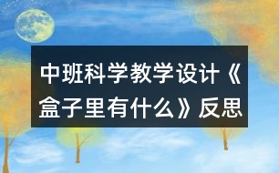 中班科學教學設(shè)計《盒子里有什么》反思