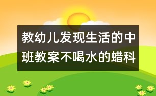 教幼兒發(fā)現(xiàn)生活的中班教案：不喝水的蠟（科學）