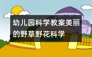 幼兒園科學(xué)教案：美麗的野草、野花（科學(xué)）