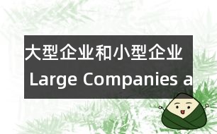 大型企業(yè)和小型企業(yè) Large Companies and Small Comp.