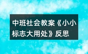 中班社會教案《小小標(biāo)志大用處》反思