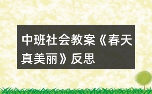 中班社會教案《春天真美麗》反思