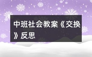 中班社會教案《交換》反思