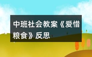 中班社會(huì)教案《愛惜糧食》反思