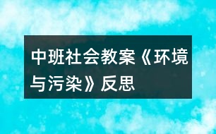 中班社會(huì)教案《環(huán)境與污染》反思