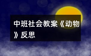 中班社會教案《動物》反思