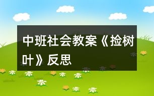 中班社會(huì)教案《撿樹葉》反思