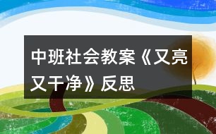 中班社會(huì)教案《又亮又干凈》反思