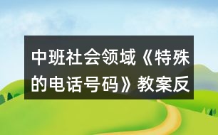 中班社會領域《特殊的電話號碼》教案反思