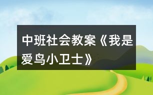 中班社會(huì)教案《我是愛鳥小衛(wèi)士》