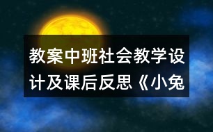 教案中班社會教學設(shè)計及課后反思《小兔的花園》