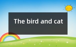 The bird and cat