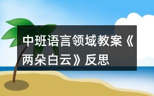 中班語言領(lǐng)域教案《兩朵白云》反思