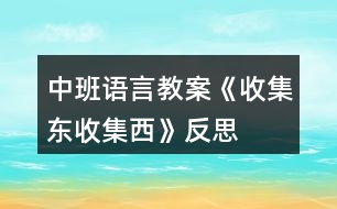 中班語(yǔ)言教案《收集東、收集西》反思