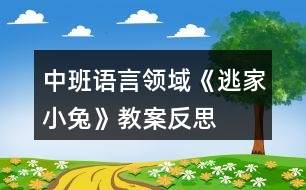 中班語言領域《逃家小兔》教案反思