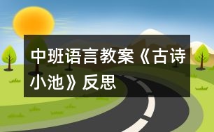 中班語言教案《古詩小池》反思