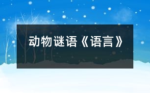 動物謎語《語言》